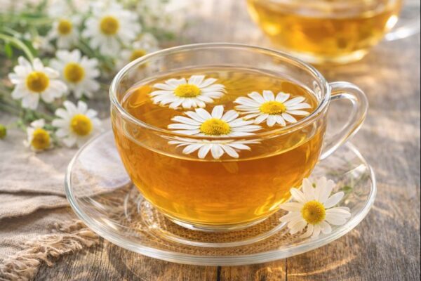 trà hoa cúc