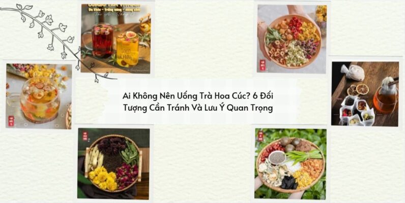 ai không nên uống trà hoa cúc